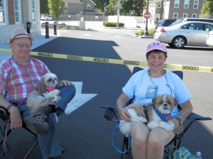 Taking a rest with the dogs