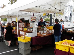 Neighborhood Farm table