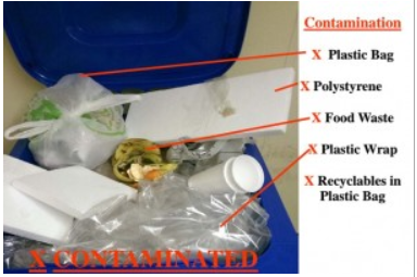 Needham RTS Recycling Tips:  Contaminated Recycling is Trash