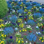 Sustainable Landscaping/Outdoors