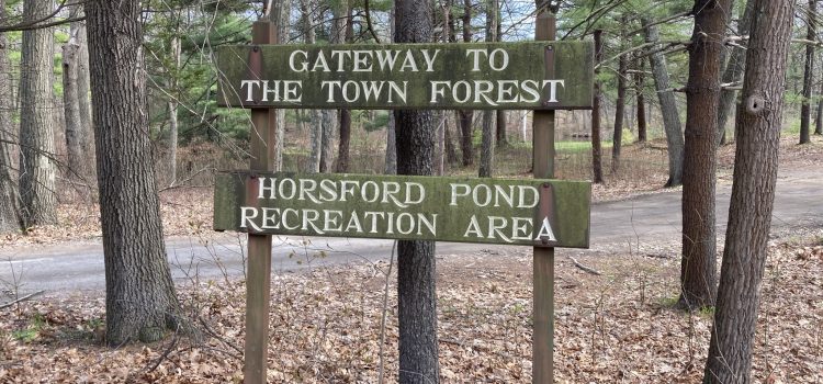 Town Forest Cleanup Saturday, May 1st with the NHS Environmental Action Club