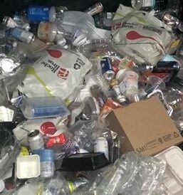 Plastic Bag Ban ByLaw in Needham
