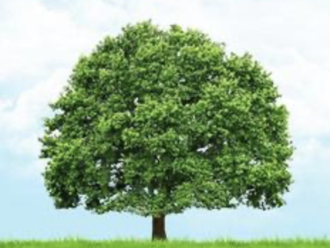 Don’t Miss These Upcoming Events!