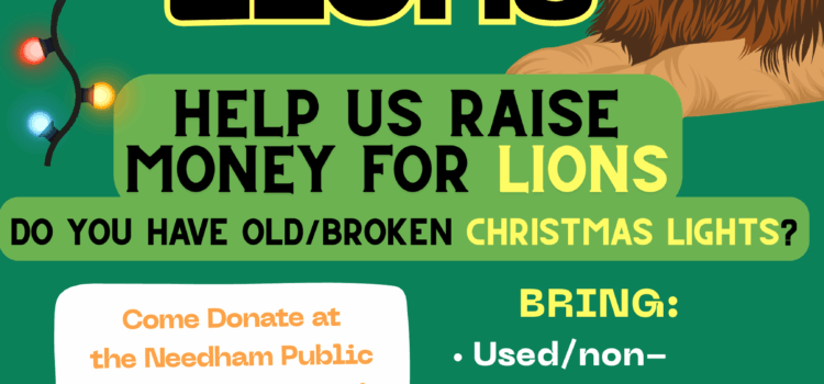 Recycling Opportunity for Holiday Lights and Small Electronics