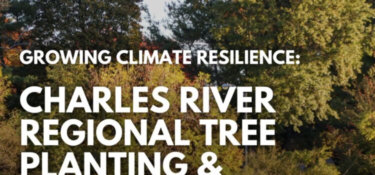 Join us on Monday,  February 9th, to learn about CRWA’s Regional Tree Planting and Protection Plan!