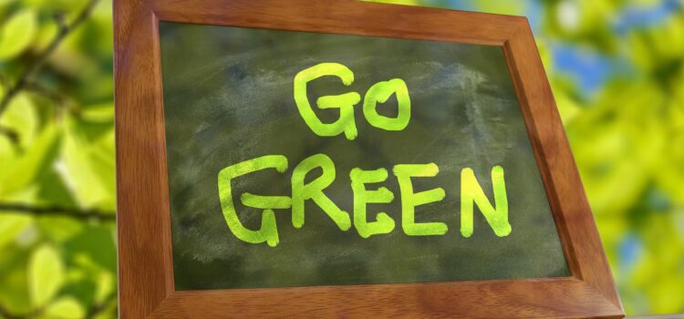 Go Green, Gain Customers — Sustainability Survey Results Are In!
